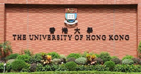 香港九大大學|【香港大學排名】最新10大香港本地大學排名出爐 附。